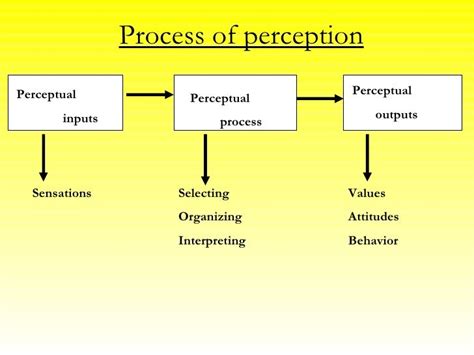 cb01 perception|6.1 The Process of Perception – Psychology of Human Relations.